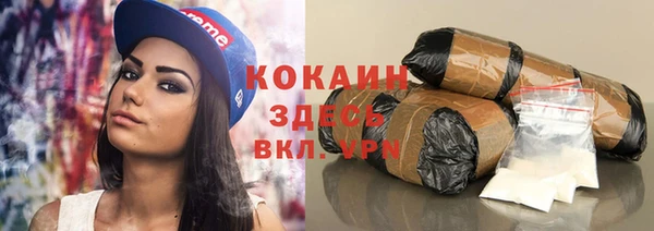 spice Краснослободск